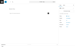 Page screenshot: Add Page &lsaquo; Test site &mdash; WordPress