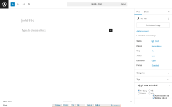 Page screenshot: Add Post &lsaquo; Test site &mdash; WordPress