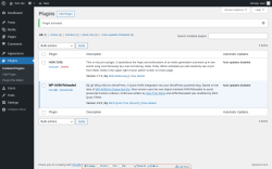 Page screenshot: Plugins &lsaquo; Test site &mdash; WordPress