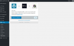 Page screenshot: Bing Search ‹ Test site — WordPress