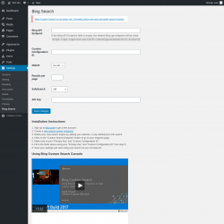 Page screenshot: Settings → Bing Search