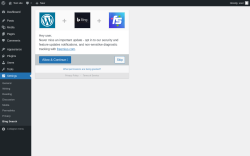 Page screenshot: Bing Search ‹ Test site — WordPress