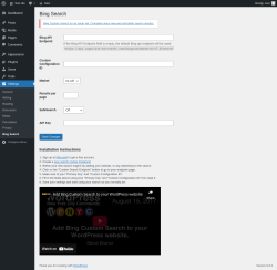 Page screenshot: Settings → Bing Search