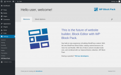 Page screenshot: Settings &rarr; WP Block Pack