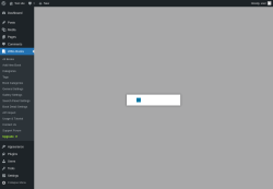 Page screenshot: WBG Books → Upgrade  ➤