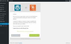 Page screenshot: Captcha Booster