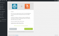 Page screenshot: Captcha Type ‹ Test site — WordPress