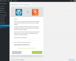 Page screenshot: Captcha Booster