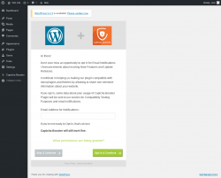 Page screenshot: Captcha Type ‹ Test site — WordPress