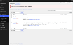 Page screenshot: Plugins &lsaquo; Test site &mdash; WordPress