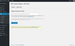 Page screenshot: CloudGallery &rarr; API Key