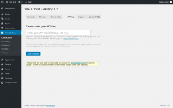 Page screenshot: CloudGallery &rarr; API Key