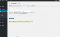 Page screenshot: CloudGallery &rarr; API Key