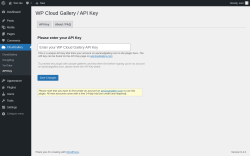 Page screenshot: CloudGallery &rarr; API Key &rarr; API Key