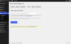 Page screenshot: CloudGallery &rarr; API Key