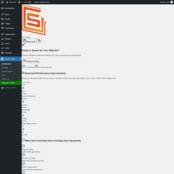Page screenshot: Super Page Cache → Import/Export