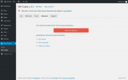 Page screenshot: Wow Plugins → WP Coder → Extension