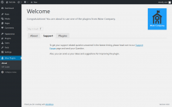 Page screenshot: Wow Plugins → Support