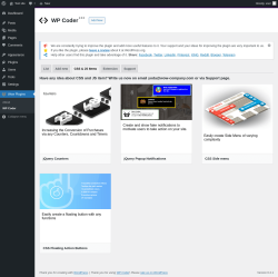 Page screenshot: Wow Plugins → WP Coder → CSS & JS Items