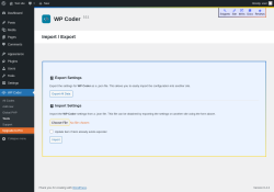 Page screenshot: WP Coder → Tools