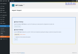 Page screenshot: WP Coder → Tools
