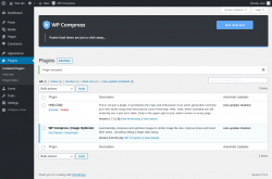 Page screenshot: Plugins ‹ Test site — WordPress