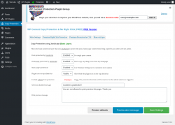 Page screenshot: Copy Protection