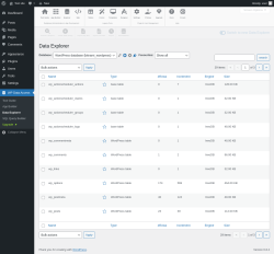 Page screenshot: WP Data Access → Data Explorer