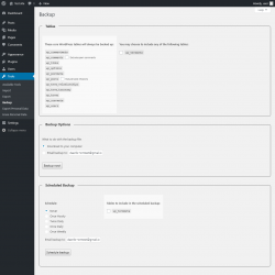 Page screenshot: Tools → Backup