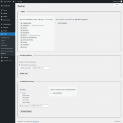 Page screenshot: Tools → Backup