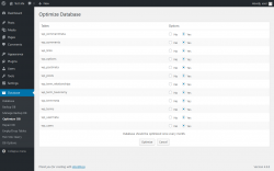 Page screenshot: Database &rarr; Optimize DB