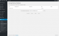 Page screenshot: Database &rarr; Manage Backup DB