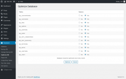 Page screenshot: Database &rarr; Optimize DB