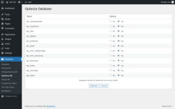 Page screenshot: Database &rarr; Optimize DB