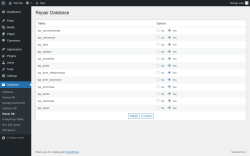 Page screenshot: Database &rarr; Repair DB