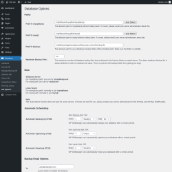 Page screenshot: Database &rarr; DB Options