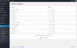 Page screenshot: Database &rarr; Optimize DB