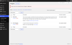 Page screenshot: Plugins &lsaquo; Test site &mdash; WordPress