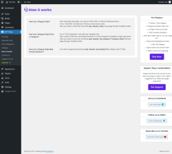 Page screenshot: WP FAQs → How it works