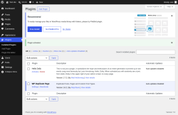 Page screenshot: Plugins &lsaquo; Test site &mdash; WordPress