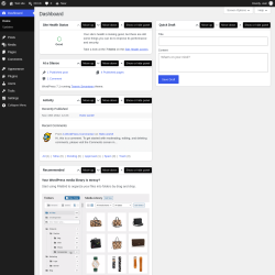Page screenshot: Dashboard &lsaquo; Test site &mdash; WordPress