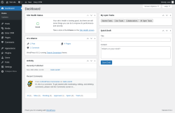 Page screenshot: Dashboard &lsaquo; Test site &mdash; WordPress