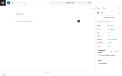 Page screenshot: Add New Page ‹ Test site — WordPress