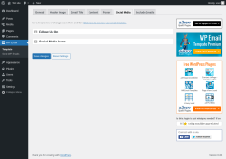 Page screenshot: WP Email → Social Media