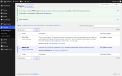 Page screenshot: Plugins &lsaquo; Test site &mdash; WordPress