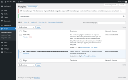 Page screenshot: Plugins &lsaquo; Test site &mdash; WordPress