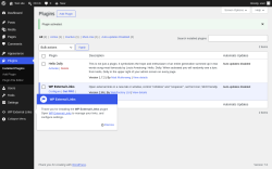 Page screenshot: Plugins &lsaquo; Test site &mdash; WordPress