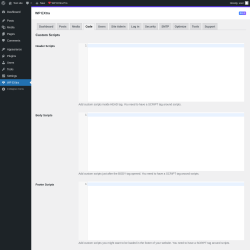 Page screenshot: WP EXtra → Code