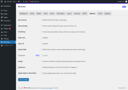 Page screenshot: WP EXtra → Optimize