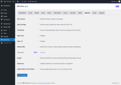 Page screenshot: WP EXtra → Optimize